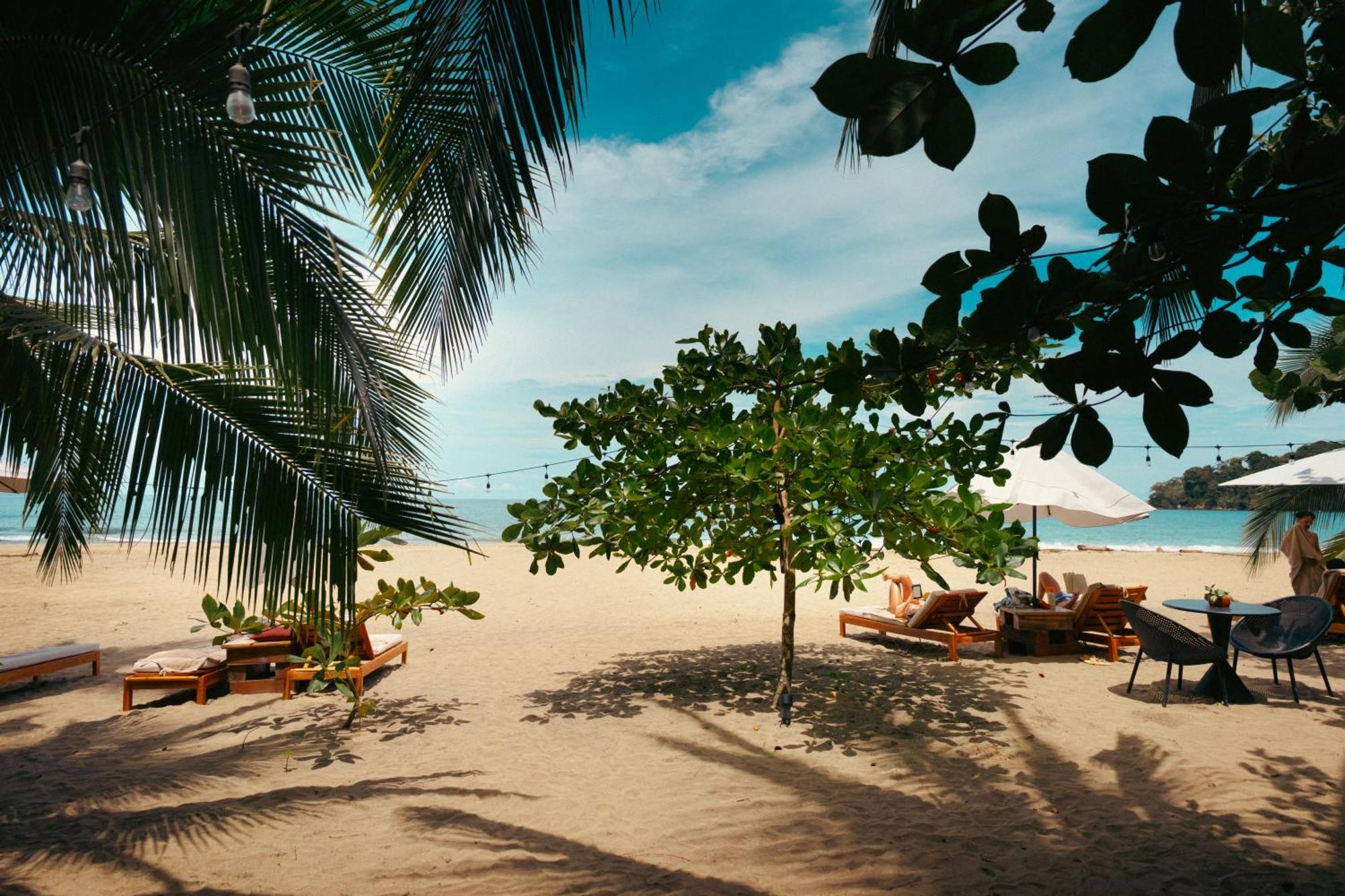 Awa Beach Hotel Puerto Viejo de Talamanca Exteriér fotografie