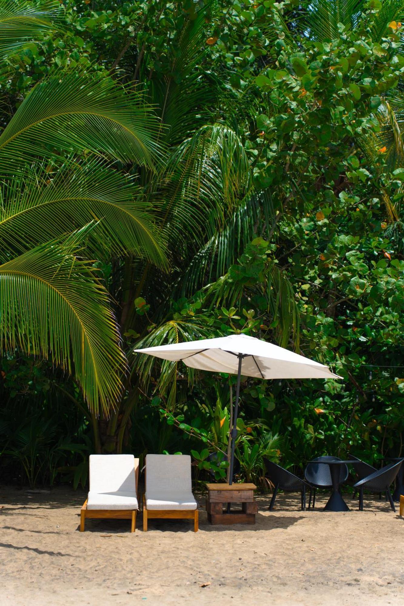 Awa Beach Hotel Puerto Viejo de Talamanca Exteriér fotografie