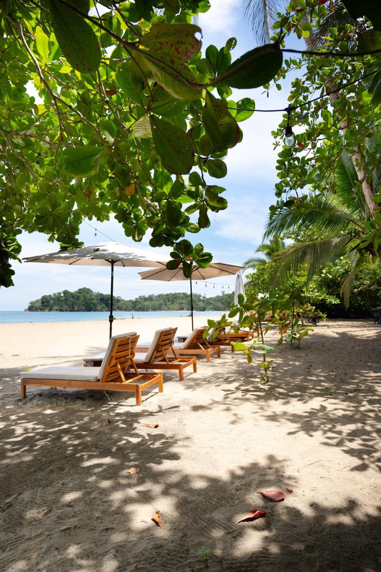Awa Beach Hotel Puerto Viejo de Talamanca Exteriér fotografie